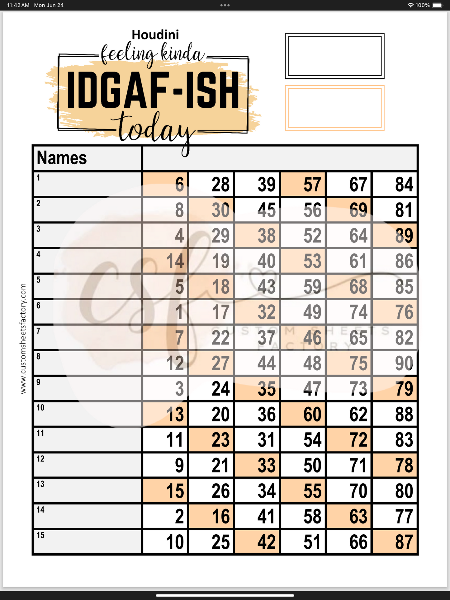 Kinda Feeling IDGAF ish - Various Designs