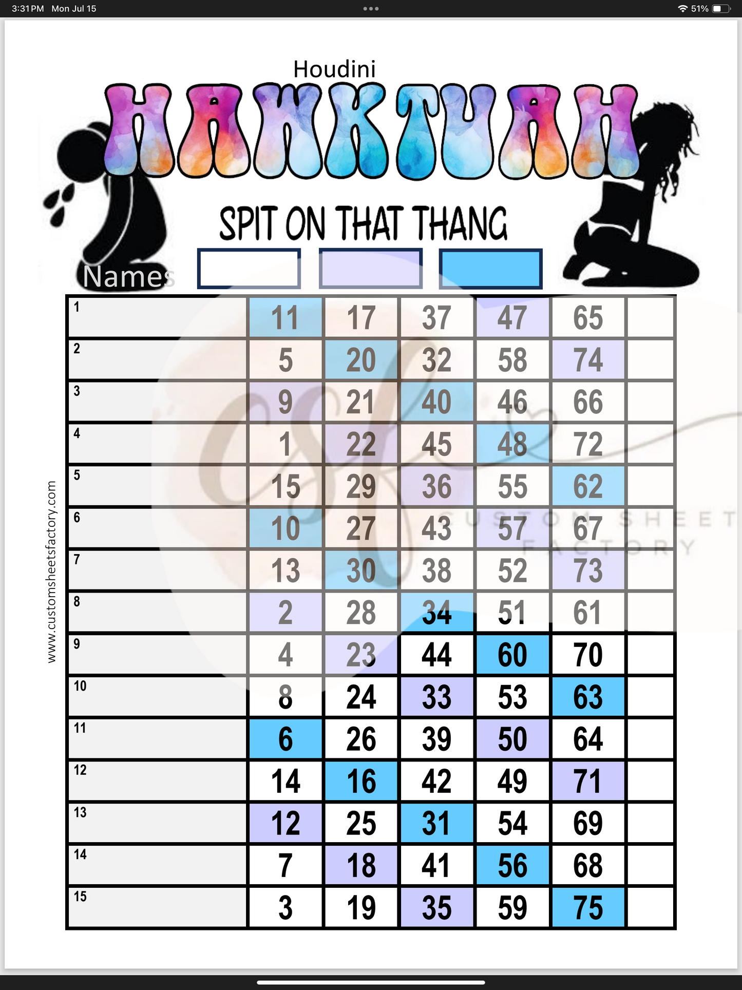 Hawk Tuah Spit on that thang - 15 Line - 75 Ball