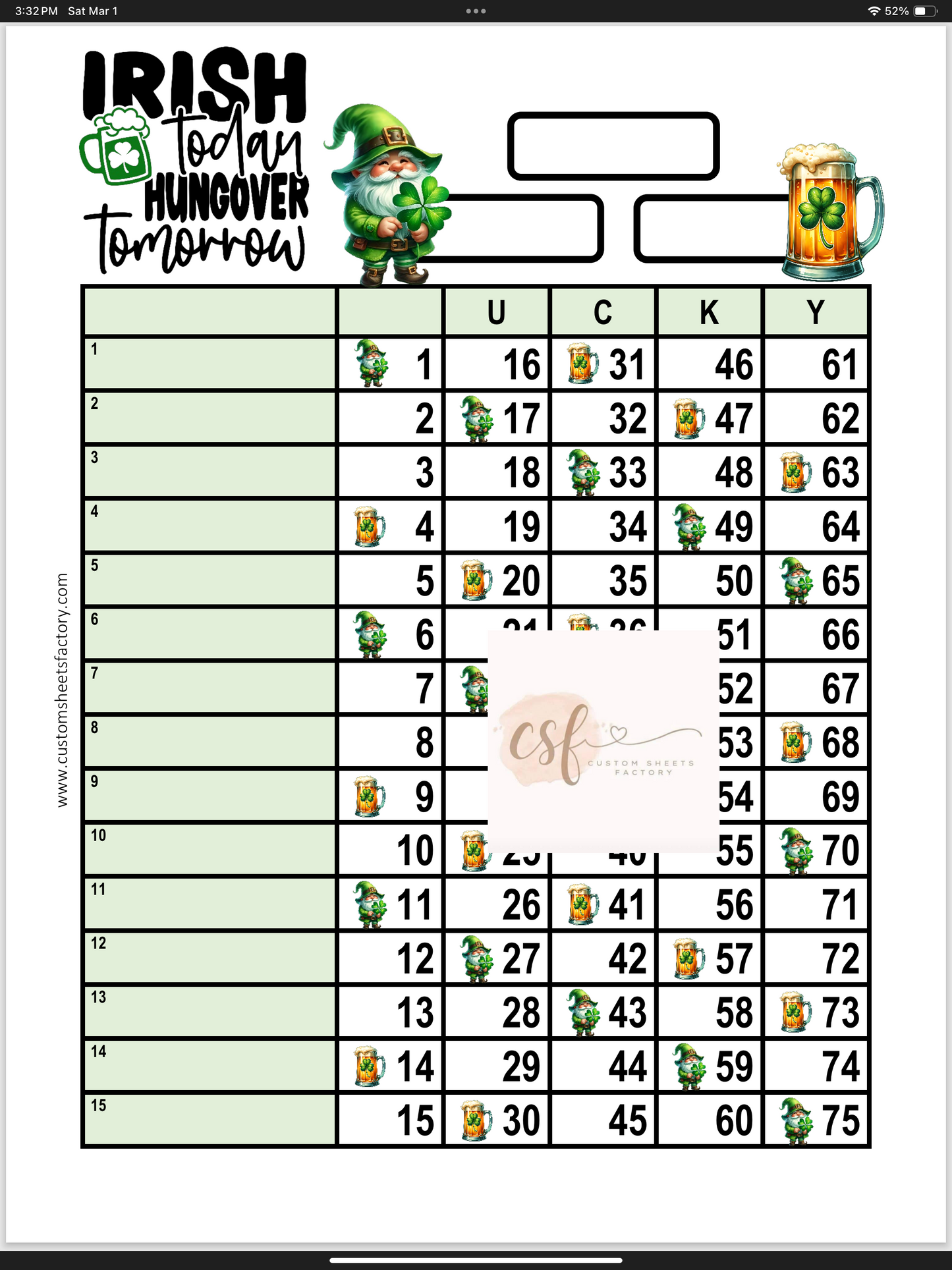 Irish Today Hungover Tomorrow