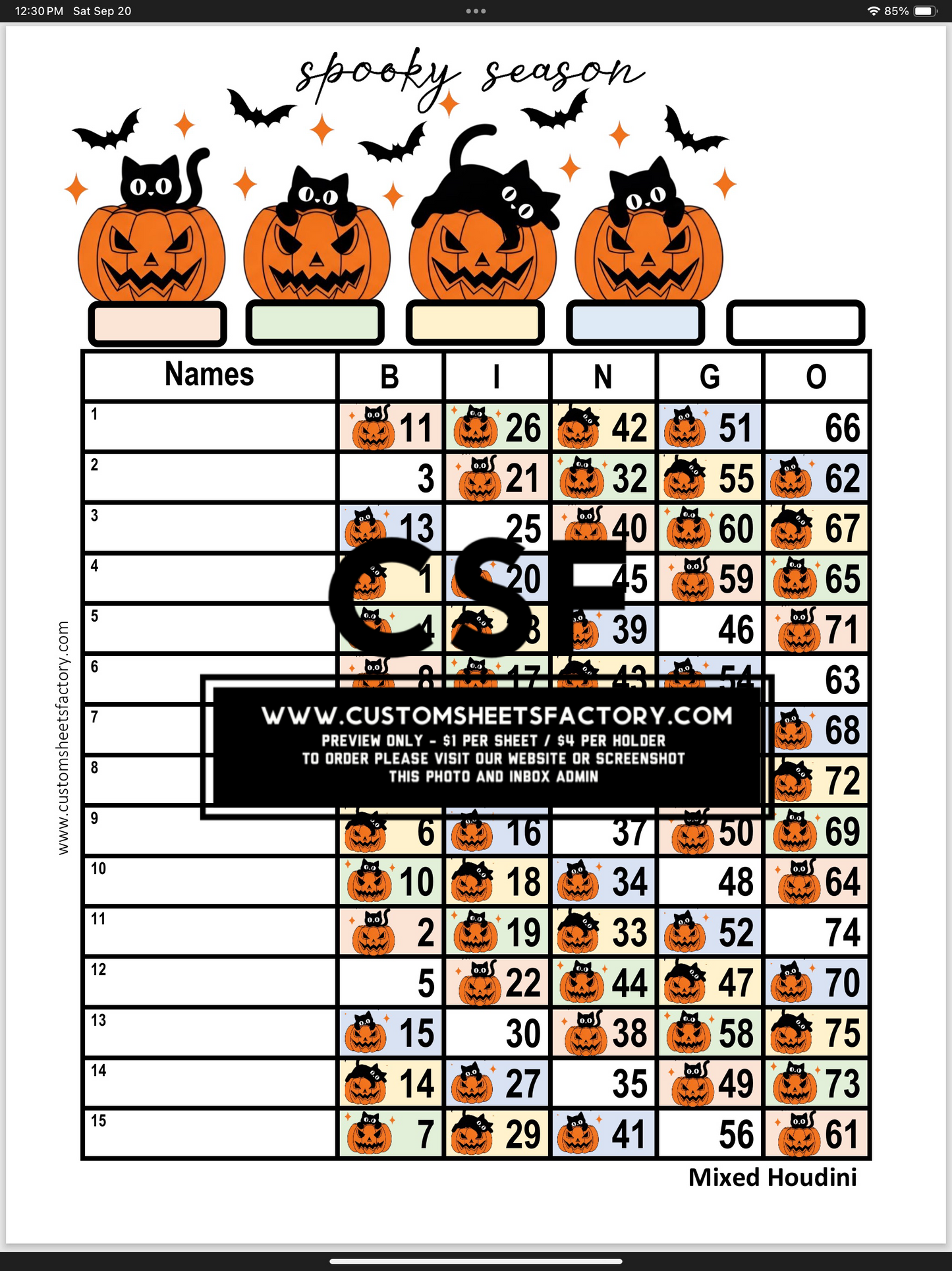Spooky Season - Pumpkins