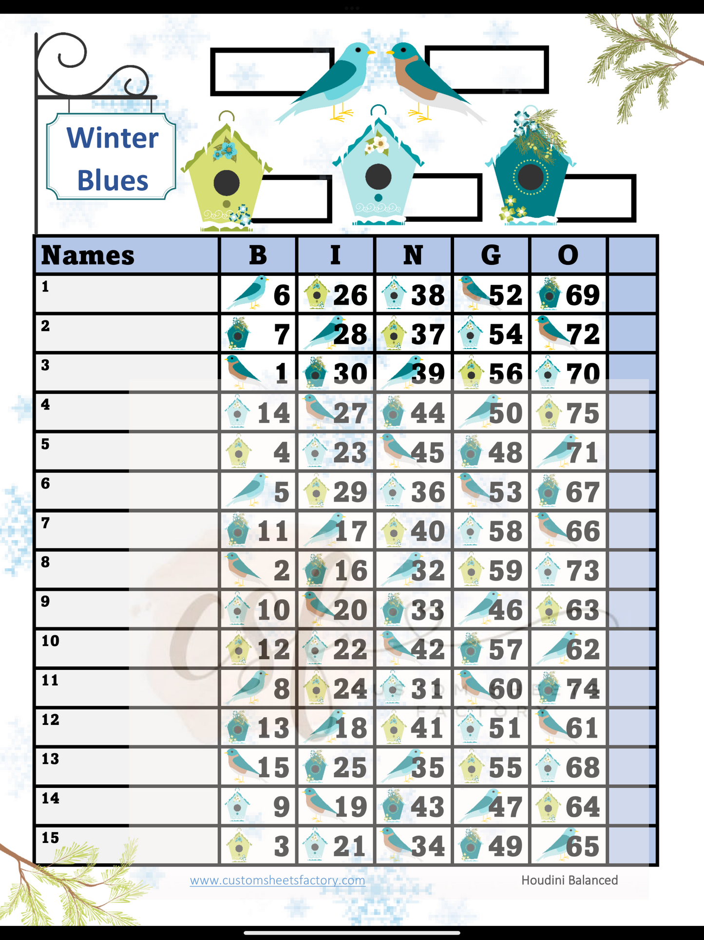 Winter Blue Birds - 15 Line - 75 Ball