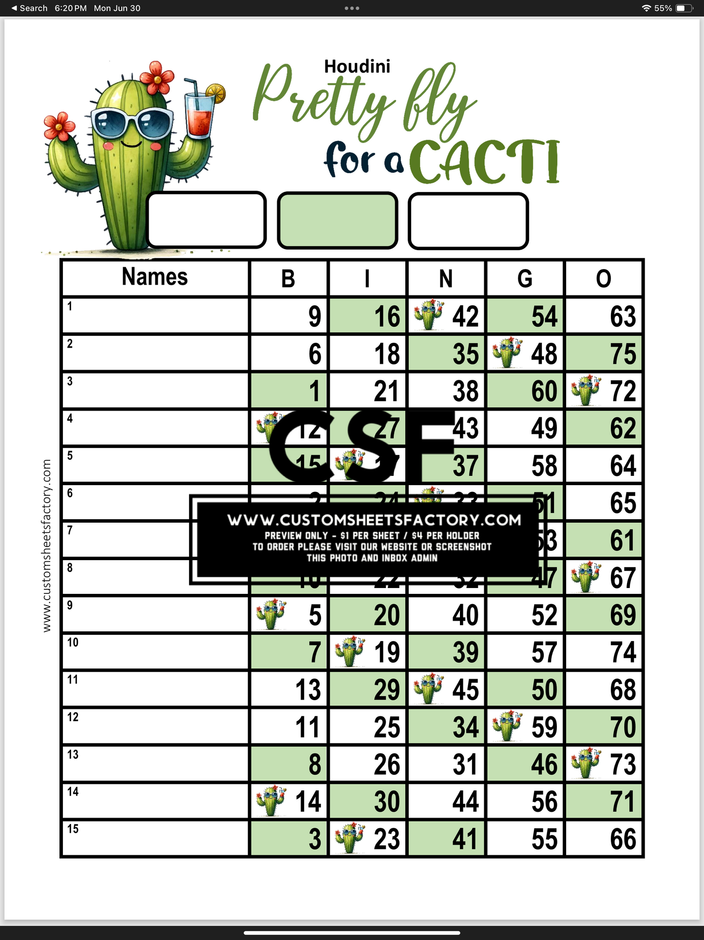$5 Themed Bundles - Cactus
