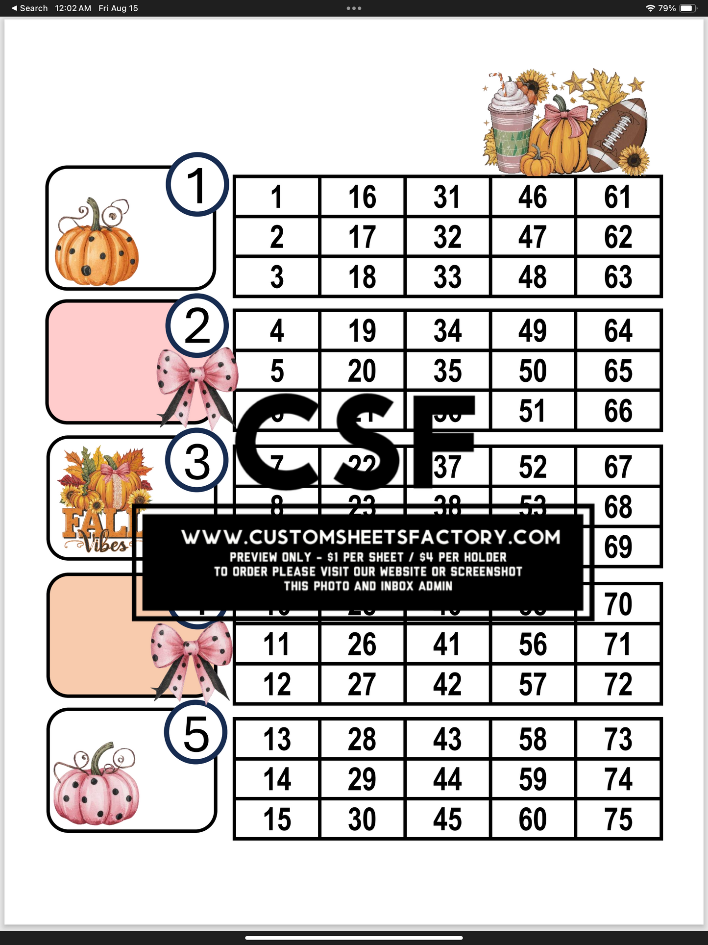 Fall Vibes - Pink Orange Pumpkin & Bow - Various Designs