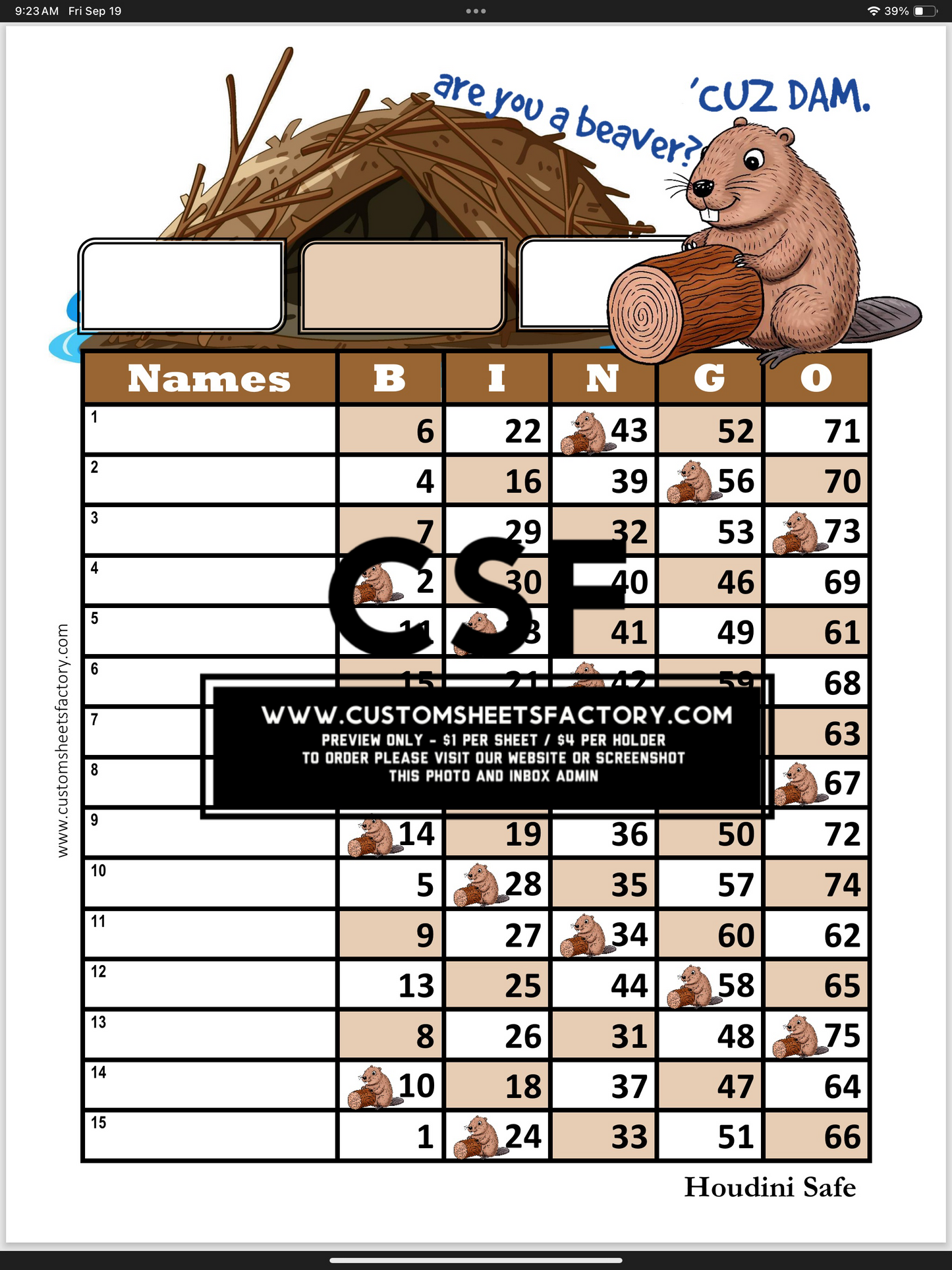 Are you a beaver? Cuz Dam
