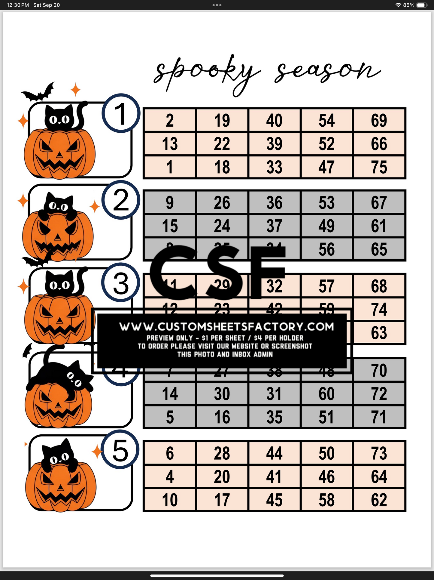 Spooky Season - Pumpkins