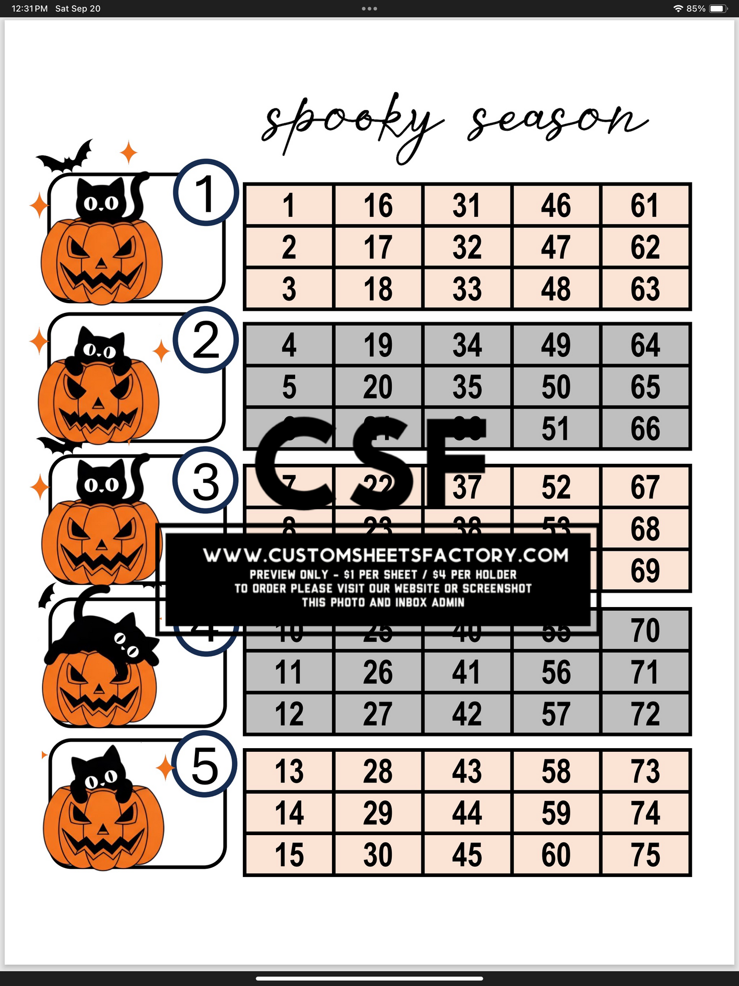 Spooky Season - Pumpkins