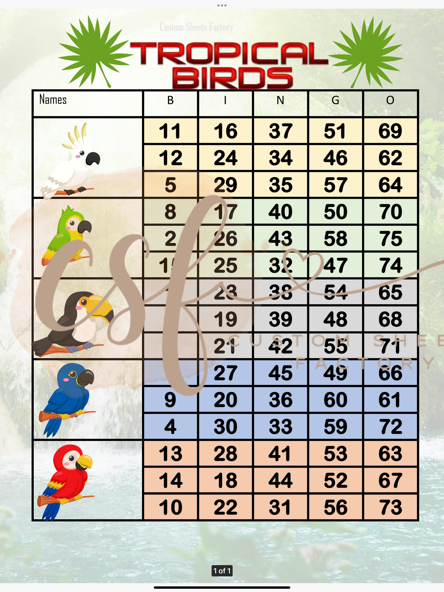 Tropical Birds - 5 Block - 75 Ball