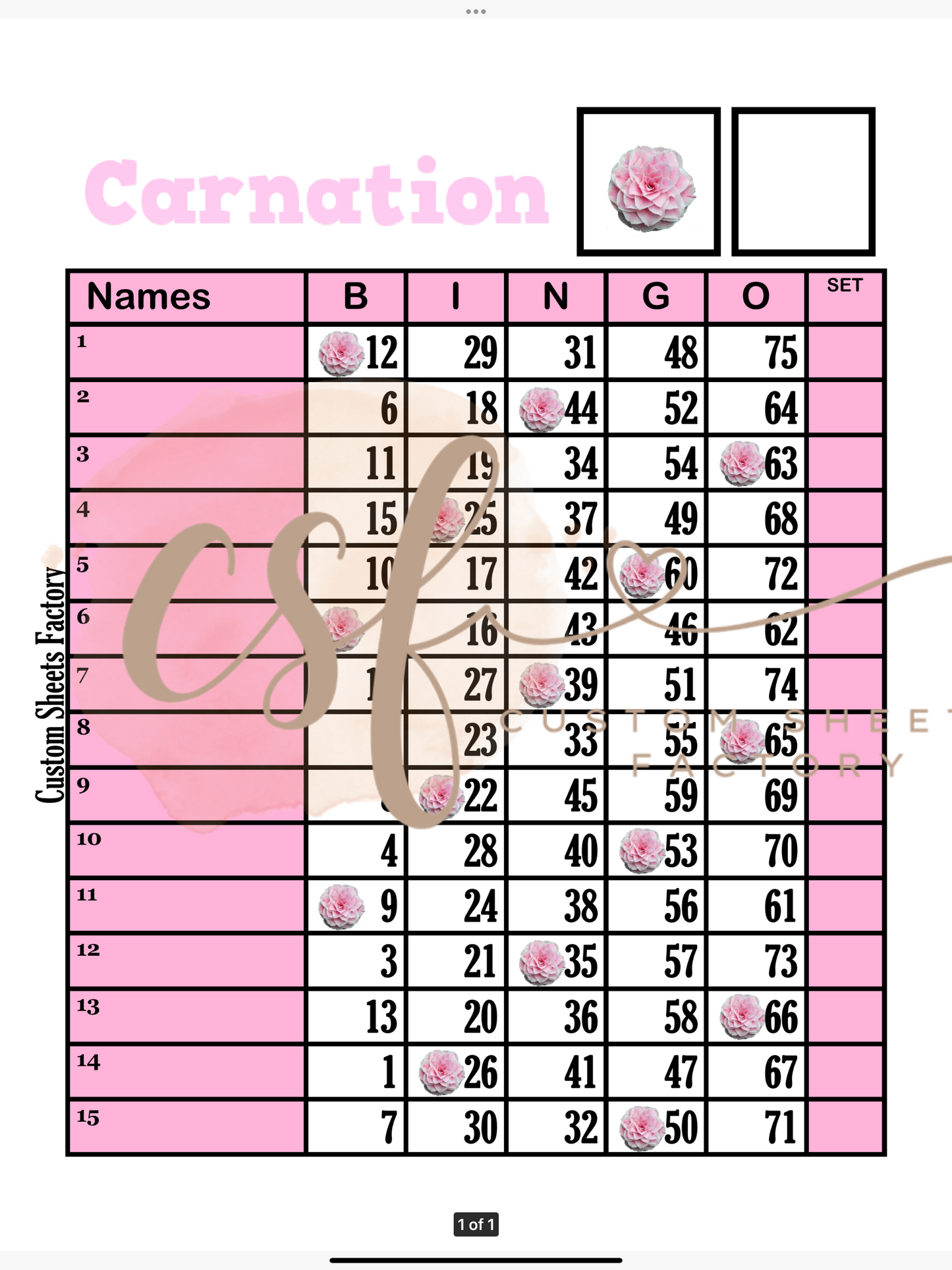 Carnations - 15 line - 75 ball