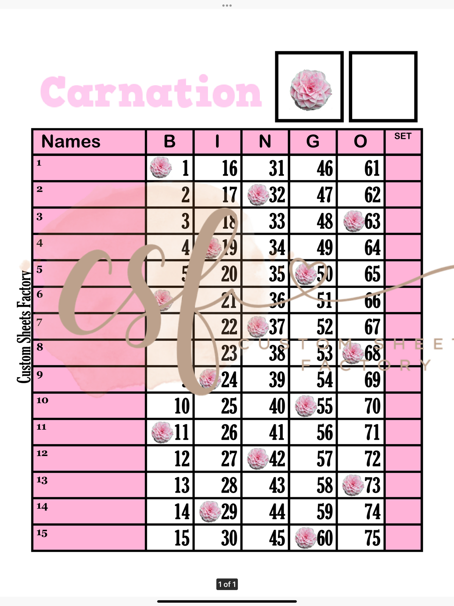 Carnations - 15 line - 75 ball